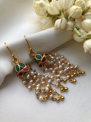 Turquoise and ruby jhumkas with hook earrings-Earrings-PL-House of Taamara