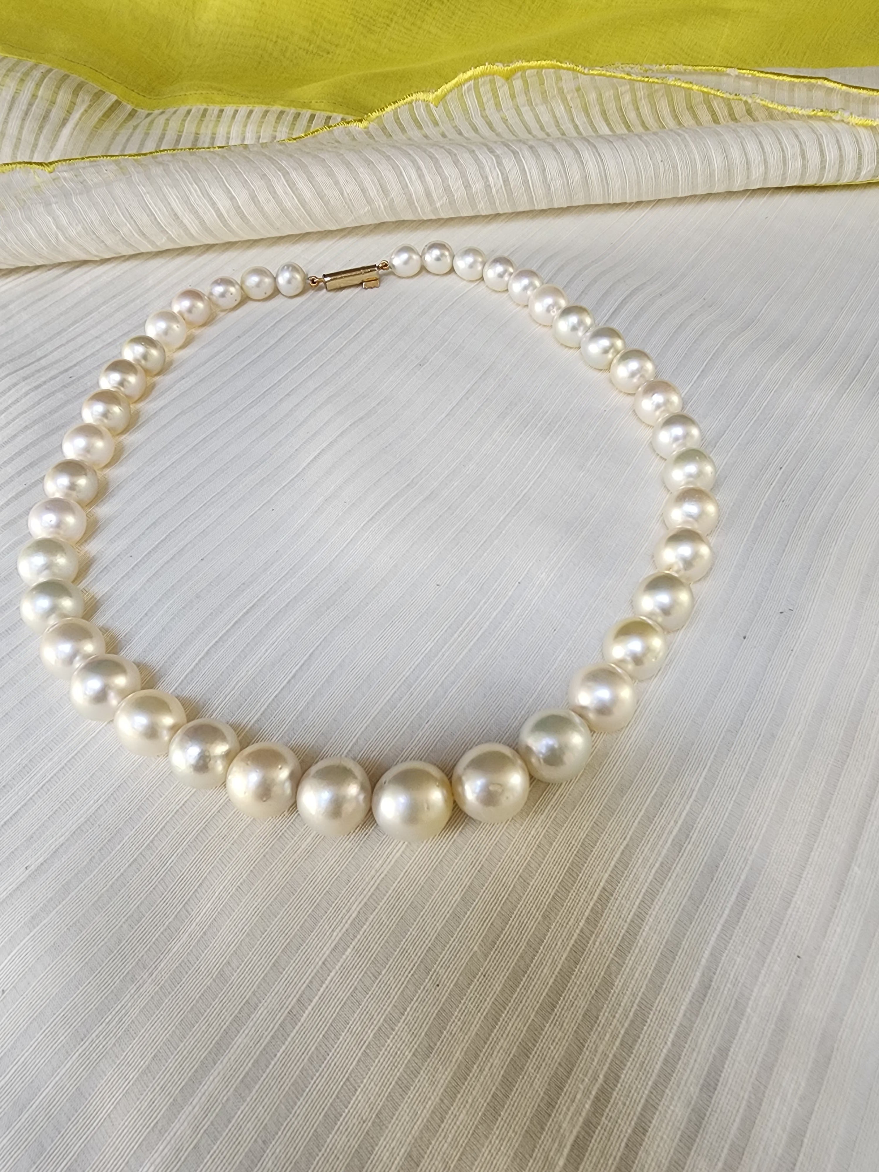 Single Line South Sea Pearls-Silver Neckpiece-House of Taamara-House of Taamara